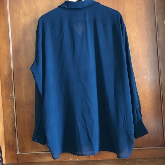 DEX sheer button down blouse - Picture 2 of 4